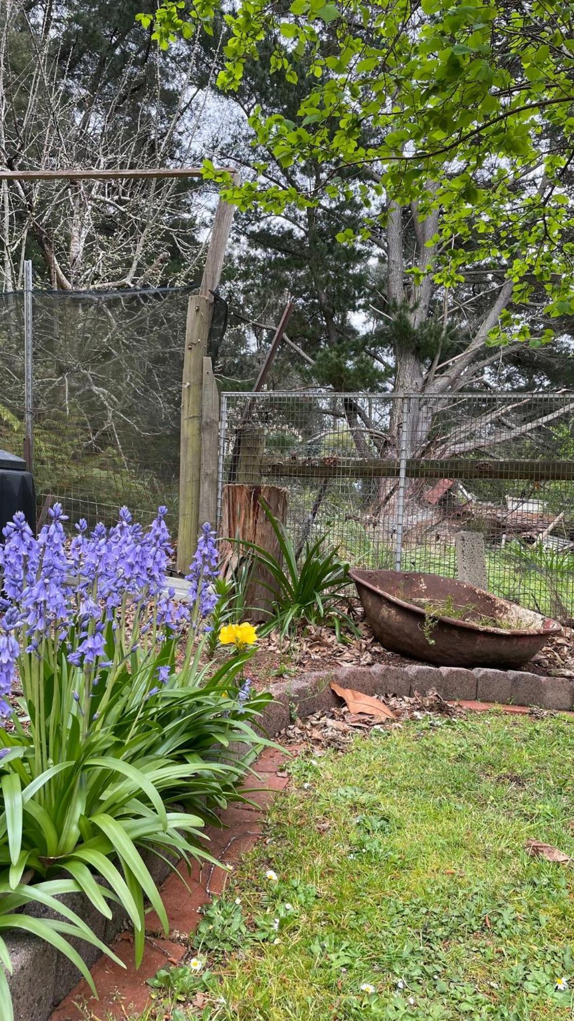 Noojee Getaway Villa Exterior photo